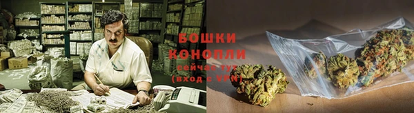 хмурый Бородино