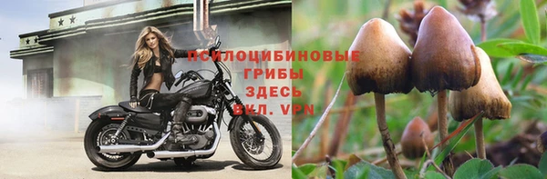 прущая мука Бугульма