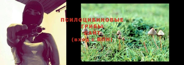 прущая мука Бугульма