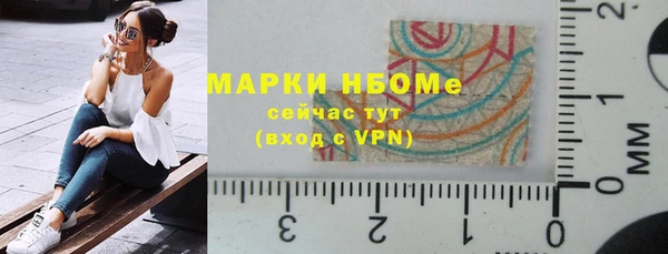 хмурый Бородино