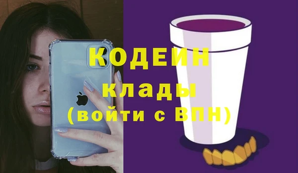 хмурый Бородино