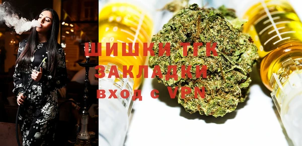 хмурый Бородино