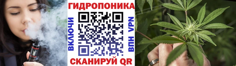 Шишки марихуана SATIVA & INDICA  купить наркоту  Кореновск 